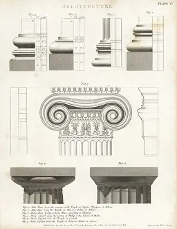 Longman: Attic, Doric and Ionic features from Greek architecture