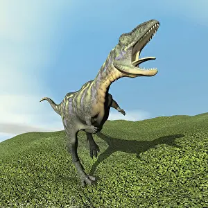 Ceratosaur: Aucasaurus dinosaur bellows a loud roar