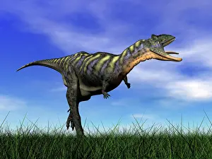 Furious: Aucasaurus dinosaur running in the grass