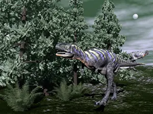 Onychiopsis: Aucasaurus dinosaur amongst wollemia trees and onychiopsis ?
