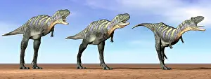Aucasaurus: Three Aucasaurus dinosaurs standing in the desert by ?