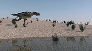 Ceratosauria: Aucasaurus running along the shore