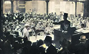 Auctions: Auction of famous greyhounds