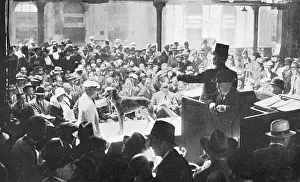 Auctions: Auction of famous greyhounds