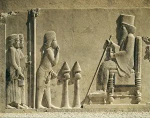 Iranians: Audience of Darius I. Persian art