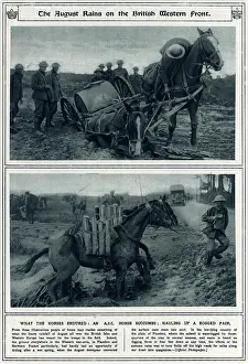 Logged: August 1917 rains on British Western Front