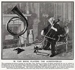 Biene: Auguste van Biene