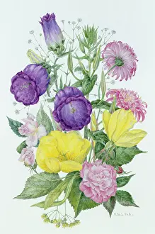 Aunt: Aunt Lancilla's Summer Border
