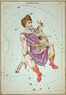 Charioteer: Auriga