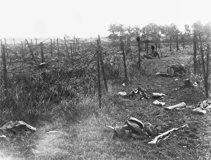 Auriol: Auriol Wood 1918