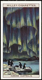 Latitudes: AURORA AUSTRALIS 1928