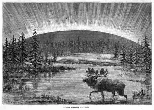 Borealis: AURORA BOREALIS