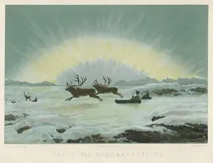 Lapps: AURORA BOREALIS/REINDEER