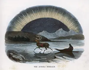 Whimper: AURORA (WHIMPER) C1860