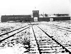 Birkenau: Auschwitz 1960s