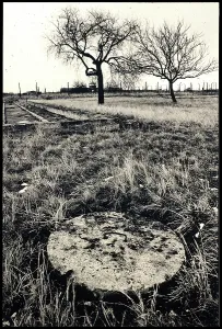 Morbid: Auschwitz-Birkenau birch trees and underground infrastructur