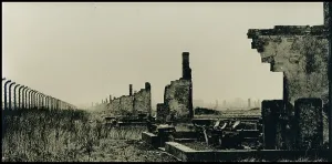 Morbid: Auschwitz-Birkenau ruins