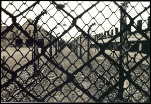 Morbid: Auschwitz - chain link fence and view of camp