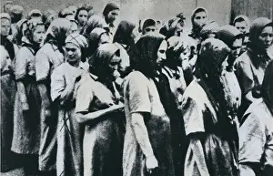 Birkenau: Auschwitz Concentration Camp