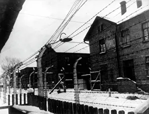 Divides: Auschwitz concentration camp, Poland, WW2