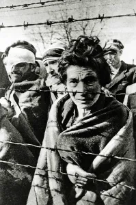 Deathcamp: Auschwitz Concentration Camp - a few of the survivors