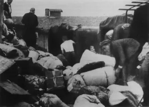 Forced: AUSCHWITZ FORCED LABOUR
