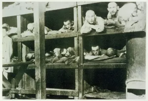 Transformed: AUSCHWITZ INMATES