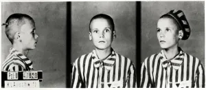 Mugshot: Auschwitz Mugshot Mugshot of prisoner