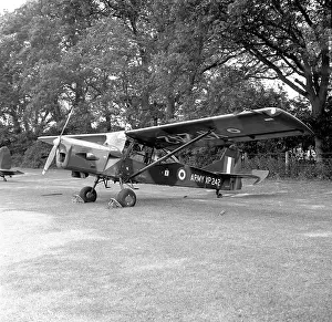 Auster: Auster AOP.9 XP242