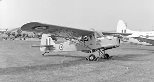 Auster: Auster T.7 WE600