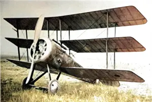 Osprey: Austin AFT 3 Osprey triplane