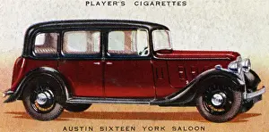 Priced: Austin York
