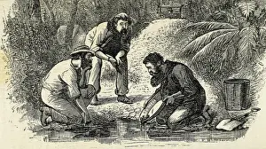 Bushel: Australia (1880). The life of the gold diggers