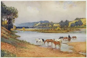 Hawkesbury: AUSTRALIA/SCENERY