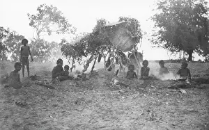 Wilkins: Australian Aborigines