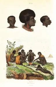 Homme: Australian Aborigines and heads of natives of