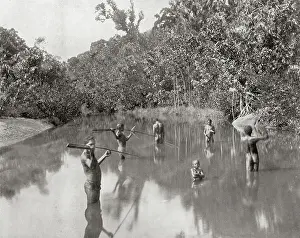 Spearing: Australian Aborigines spearing fish