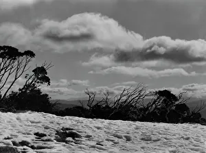 Hotham: AUSTRALIAN ALPS