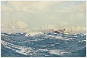 Bight: AUSTRALIAN BIGHT