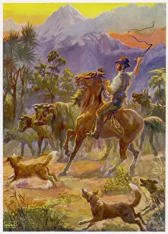 Bushman: AUSTRALIAN BUSHMAN