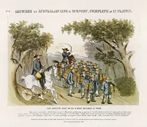 Hundredweight: Australian Convicts