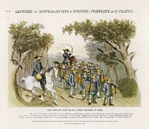 Hundredweight: Australian Convicts