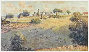 Belmont: AUSTRALIAN HOMESTEAD