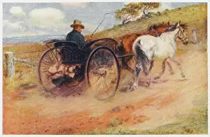 Outback: AUSTRALIAN MAIL-CART