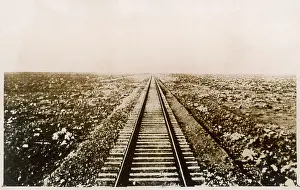 Sleepers: AUSTRALIAN RAILWAY