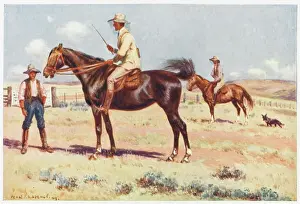 Squatter: AUSTRALIAN SQUATTER