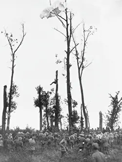 Entangled: Australian troops in 1917