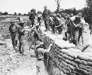 Constructing: Australian troops building trenches, Fleurbaix, France, WW1