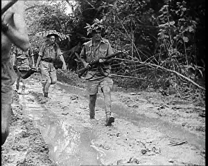 Trudging: Australian Troops Trudging Through Mud in New Guinea