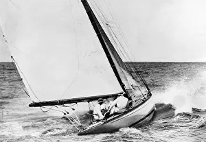 Arnott: AUSTRALIAN YACHT RACE